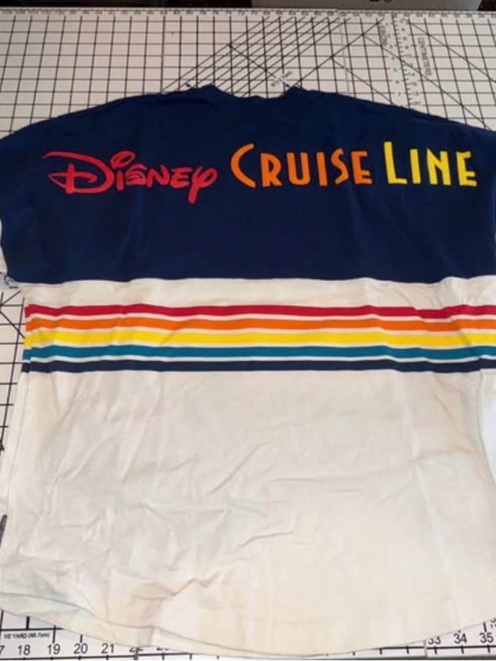 Disney Cruise Line Spirit Jersey Medium